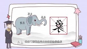 象 字